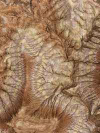 中國最孤獨的孩子—大地之子!