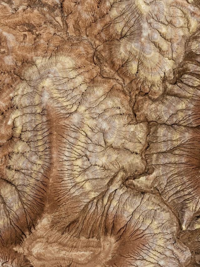 中國最孤獨的孩子—大地之子! 中國最孤獨的孩子—大地之子!