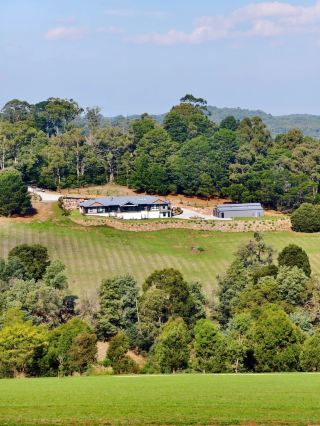 จองตั๋วรถไฟและทริปเที่ยวชมเพนกวินช่วงคริสต์มาส-ตรุษจีนเรียบร้อยแล้ว