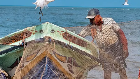 Why is the fish market, with its strong, fishy smell, an unavoidable stop on any trip to Sri Lanka? — traveler post in Negombo