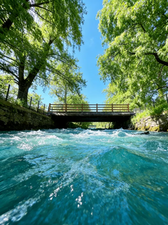 九寨溝樹正溝的碧綠溪流與木橋