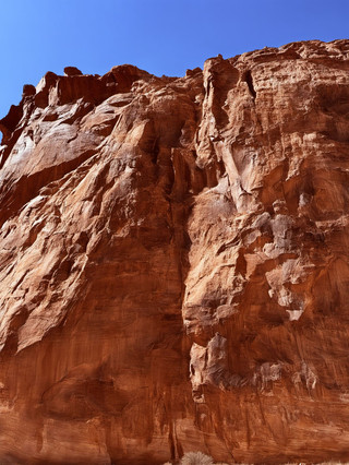 5-Day Qingming Trip to the USA: These Activities Are Totally Worth It