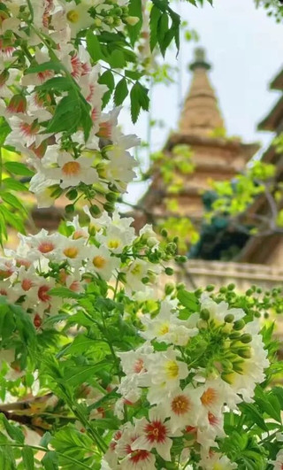 北京の宝物公園、その中には時刻博物館もあります。