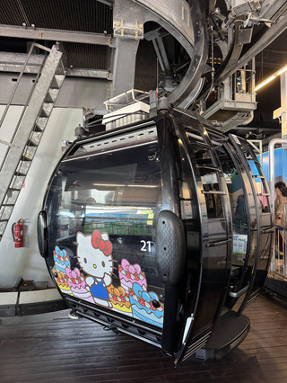 Rainforest Cable Car Adventure