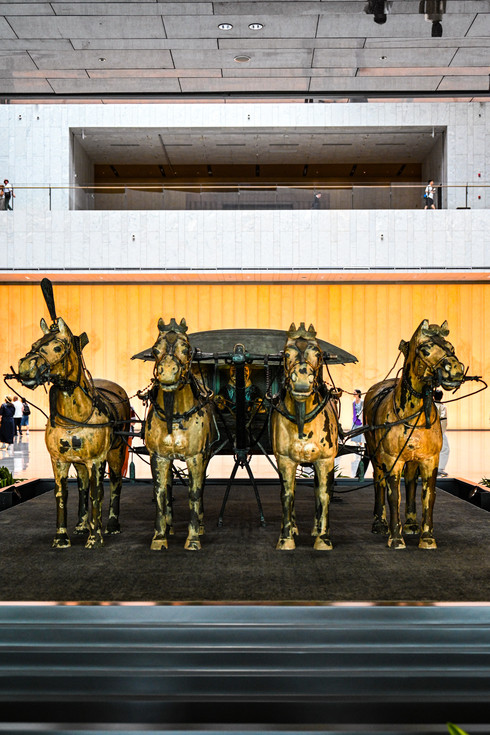 Another stunning exhibition has opened at the Shanghai Museum East
