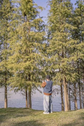 Foshan Bald Cypress Forest | The Secret Realm of The Wizard of Oz Movie (Stunning All Year Round)