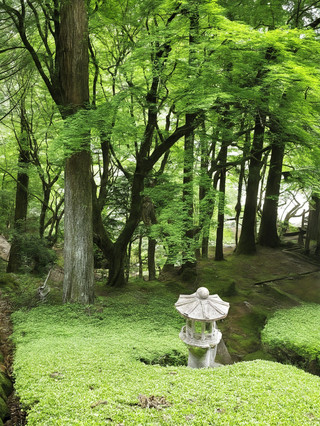 6天玩轉日本保姆級攻略快碼住