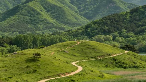 Half ancient royal charm, half healing nature: a secret getaway near Shenyang in Liaozhong — traveler post in Anshan