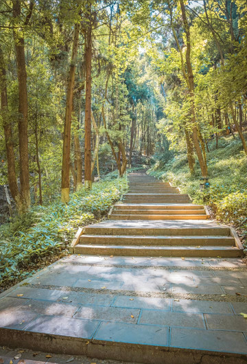 The ultimate guide to Zunyi Phoenix Mountain: free natural oxygen