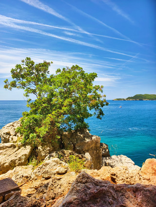 Visa-free travel guide for multiple countries including Serbia—save this fast