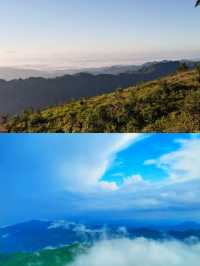 國慶遛娃寶藏地!羅定八排山免費高山草甸,帶娃徒步太治癒了!