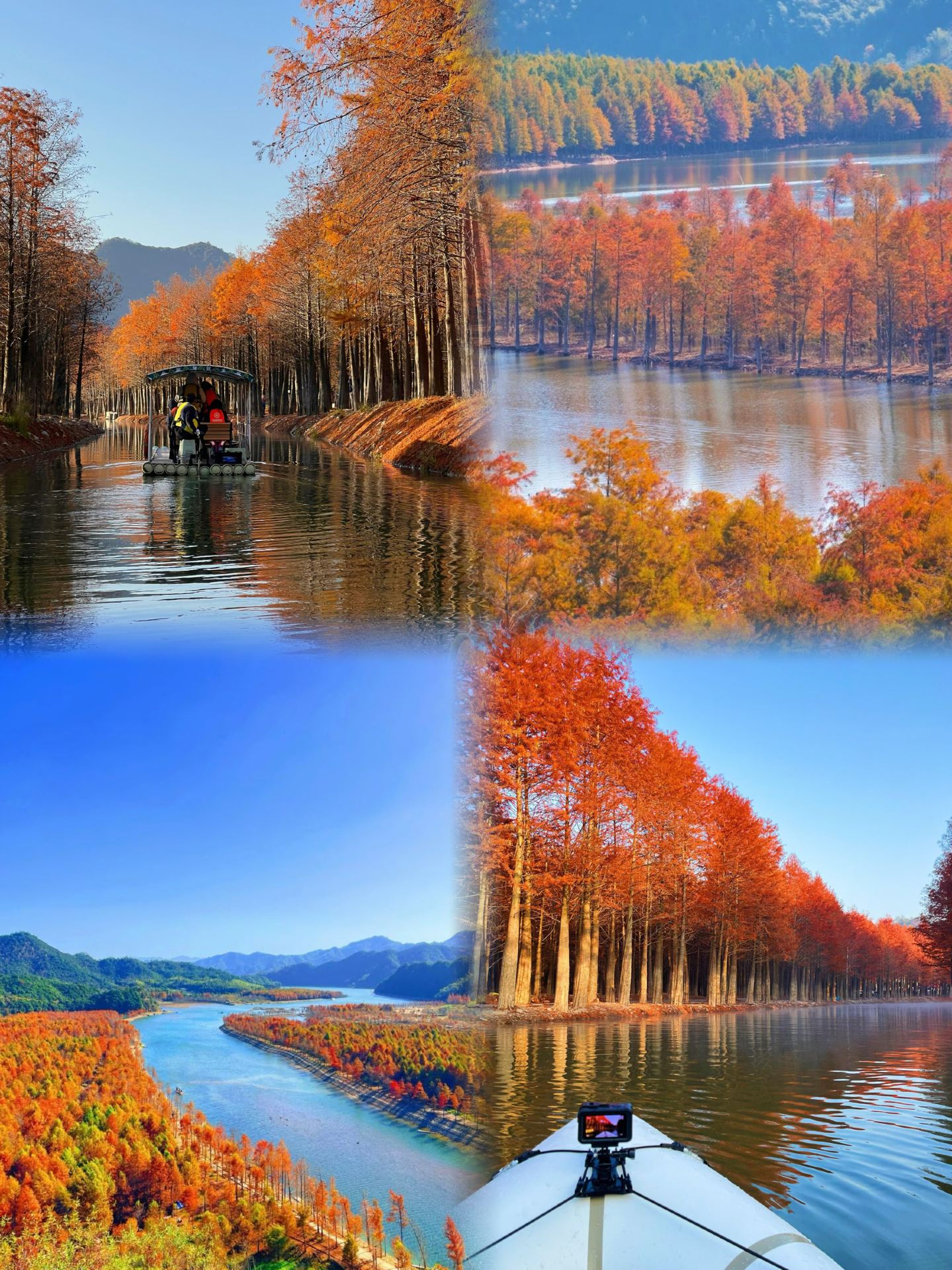 1h high-speed train | An underrated autumn getaway that rivals Kanas