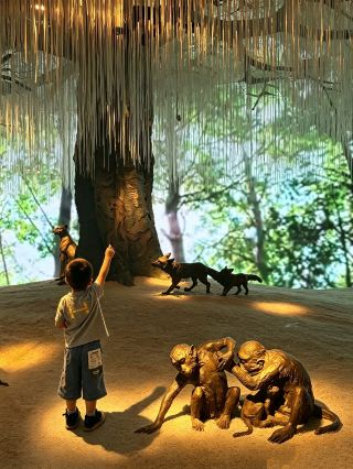 帶娃去大報恩寺前,要有人告訴我這些就好了