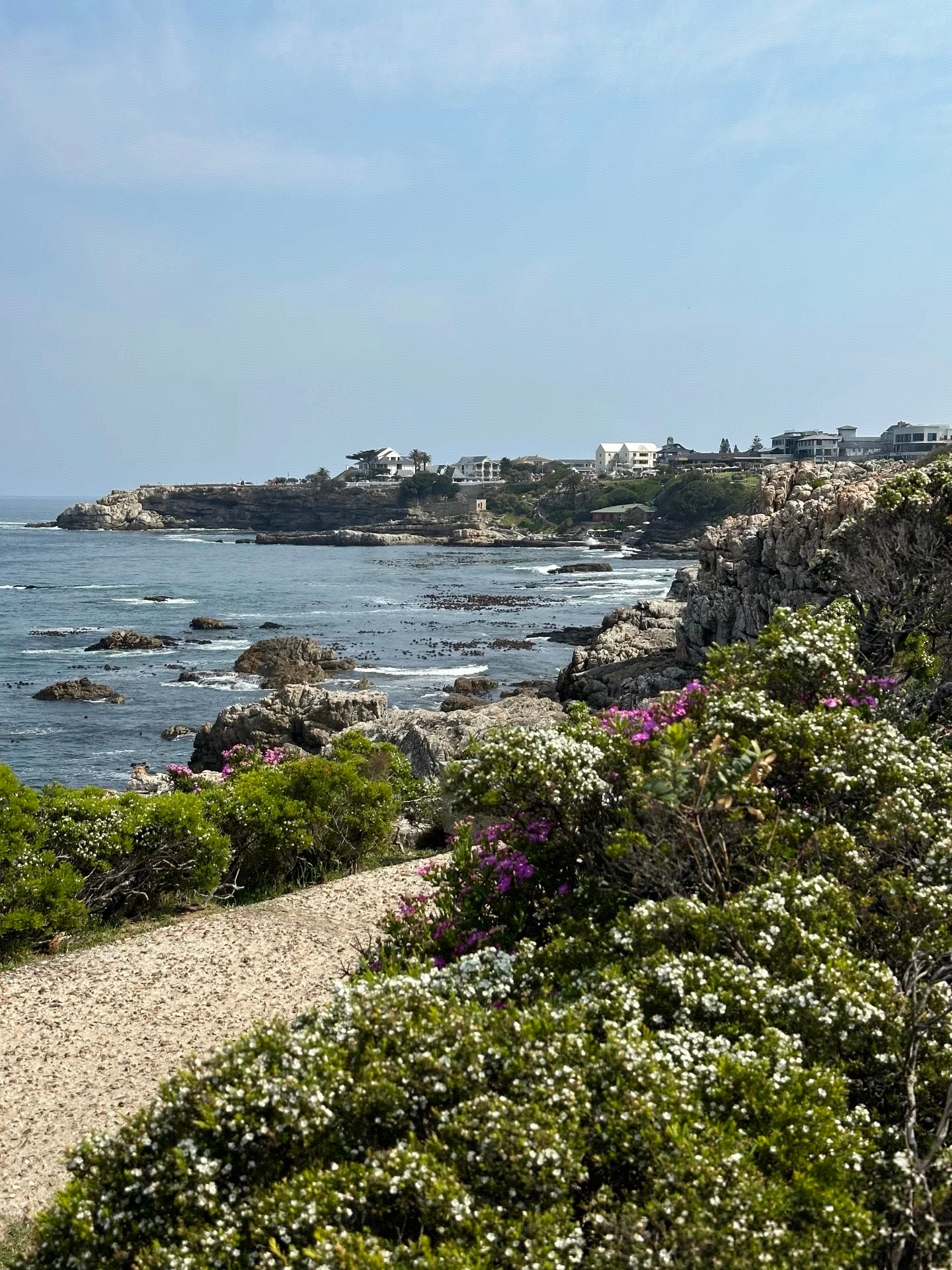 Hermanus, South Africa's whale-watching town, is truly underrated! When people think of South Africa, many might think of Cape Town first, but Hermanus, located about a two-hour drive from Cape Town