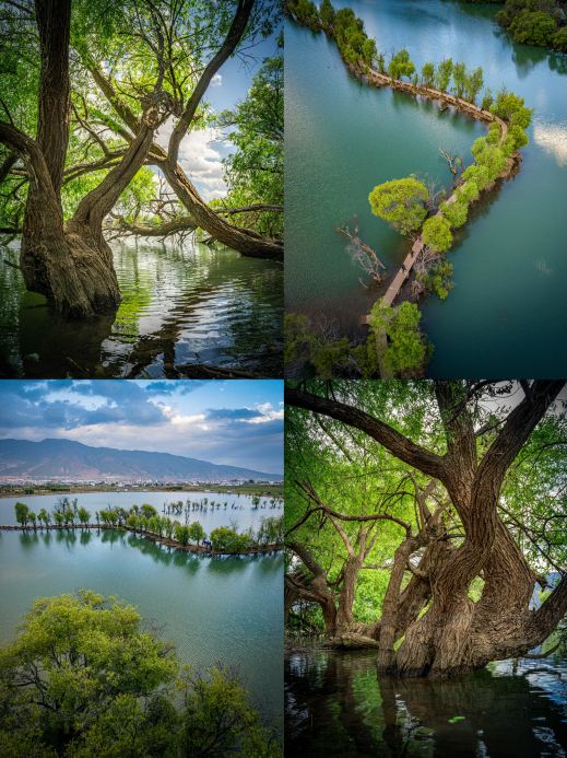 Panduan Wisata Heqing | Jauh dari Keramaian Dali & Lijiang! Kota Air yang Tenang & "Healing".