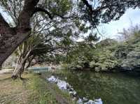 【 新年行大運｜賞湖去 ｜免費景點一日遊 】