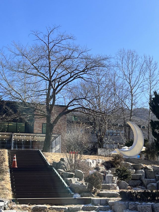 소금빵 성지로 유명한 경기도 양주 대형카페 모어그린🌿