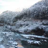 ฤดูหนาวของอิเนะ ญี่ปุ่น