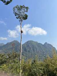 ผาหนามไซ  Nam Xay Viewpoint วังเวียง สปป ลาว