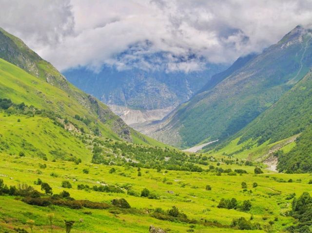 Valley Of Flower & Hemkund Sahiba Trek