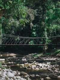 อุทยานแห่งชาติน้ำตกโยง อ.ทุ่งสง จ.นครศรีธรรมราช 