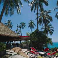The Jungle Club ชมวิวเกาะสมุยแบบพาโนรามา