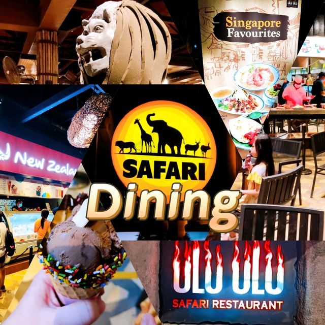 Discover Wildlife Animals at Night Safari 