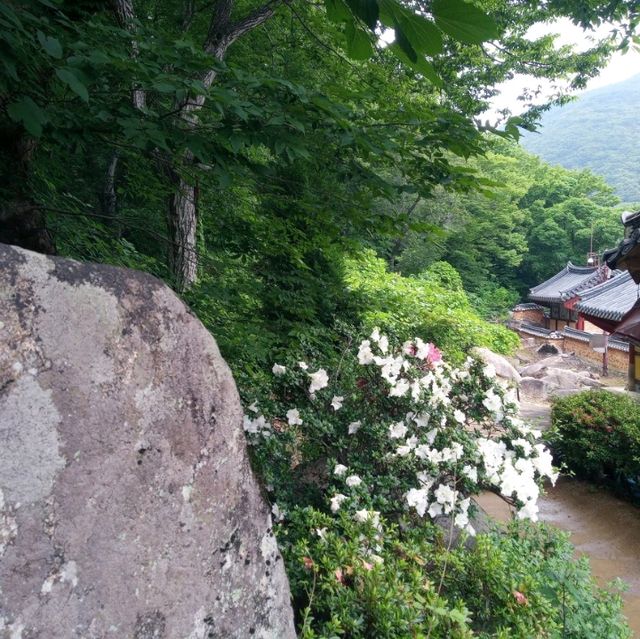 범어사에서 .나한전.독성각.산신각.지장전..천년고찰에 향기속으로..