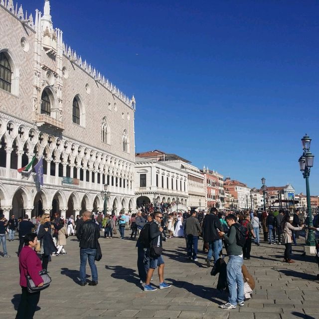 Hello Beautiful Venice!