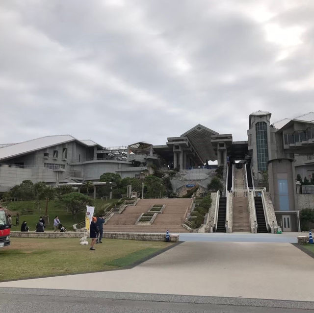 沖繩必去景點～美麗海水族館