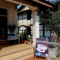 Luang Prabang CAT Café 