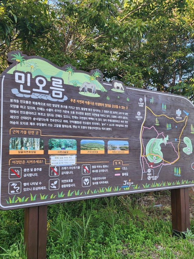 사려니 숲길 걸으려다 민오름 오른썰🤣