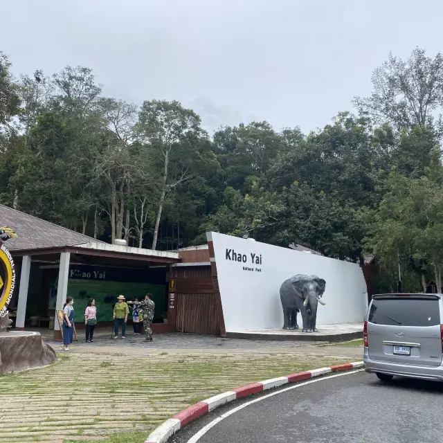 原始森林，野生動物王國