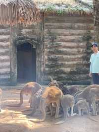 🇨🇳深圳｜親子遊x 深圳野生動物園🌟
