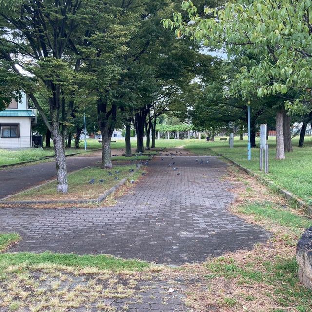 姫嶋神社に参拝した後に寄ってほしい！安くて美味しいお好み焼き・鉄板焼　優月