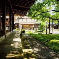 ⛩️🌸 雷山千如寺：靜謐與美麗的禪修之旅 🍃🏯✨