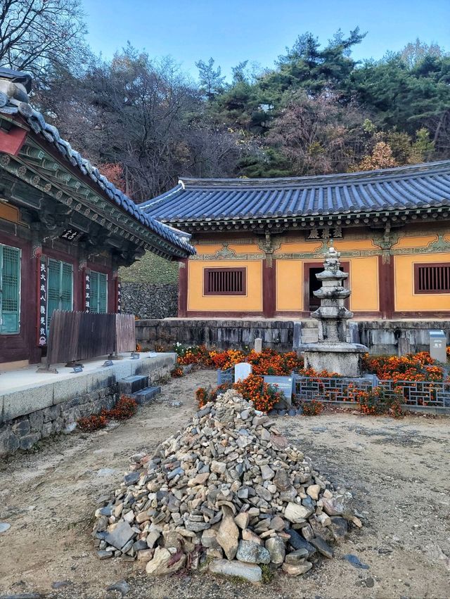 고즈넉한 아름다움을 즐기는 안동 봉정사🍂