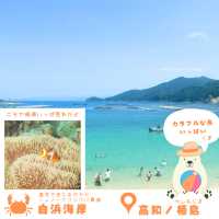 【高知・柏島】まるでカリブ海！絶景すぎる海