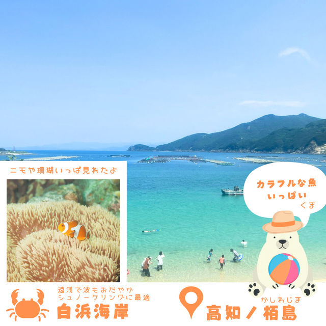 【高知・柏島】まるでカリブ海！絶景すぎる海