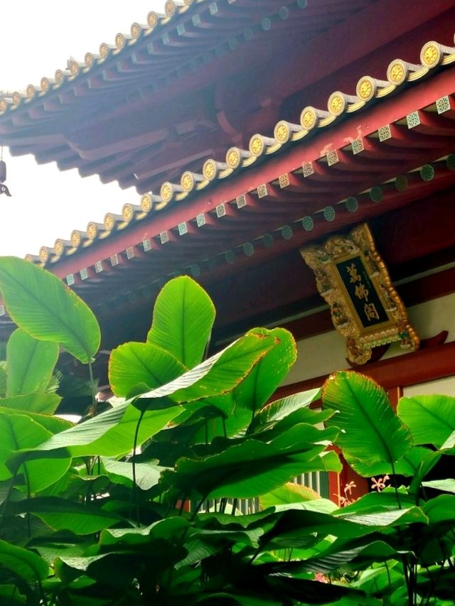 A Tranquil Escape at Buddha Tooth Relic Rooftop Garden