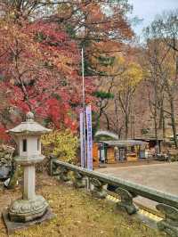 한적하게 거닐기 좋은 아름다운 홍룡사🍂