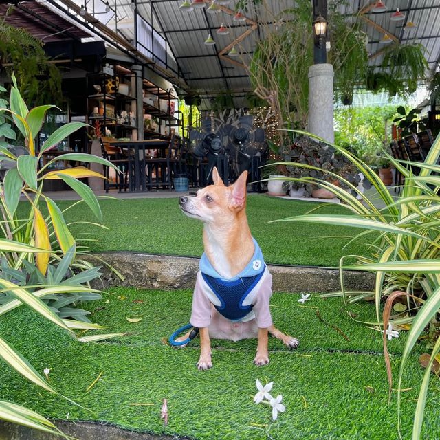 ครัวบ้านแซ่บ ปทุมธานี