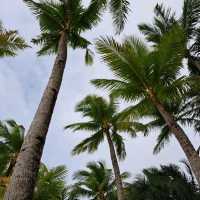 Boracay!