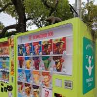 自動販売機にゾウの銅像！岩場にお正月飾り！
