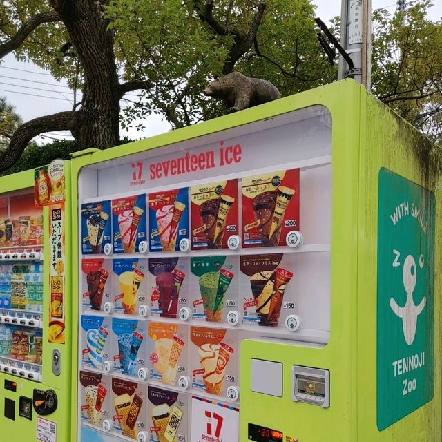 自動販売機にゾウの銅像！岩場にお正月飾り！