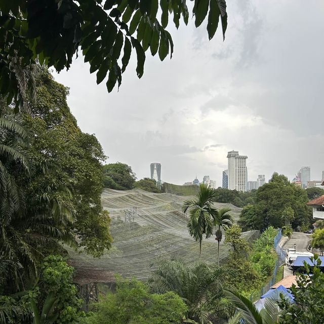 鬧市中的一片淨土