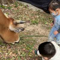 兔年好大家好探訪新界原居民