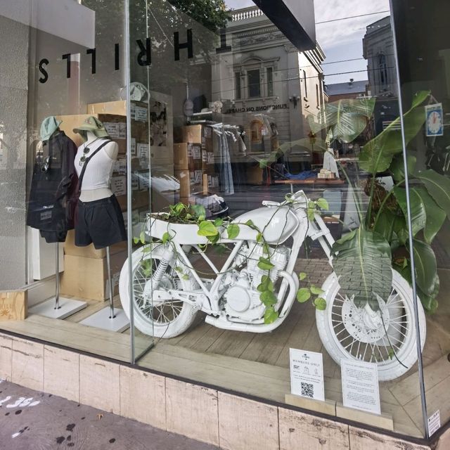 墨爾本中產型人社區Prahran