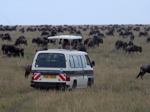 東非masai Mara 帳幕酒店動物大遷徙