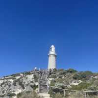 Rottnest Island Perth 